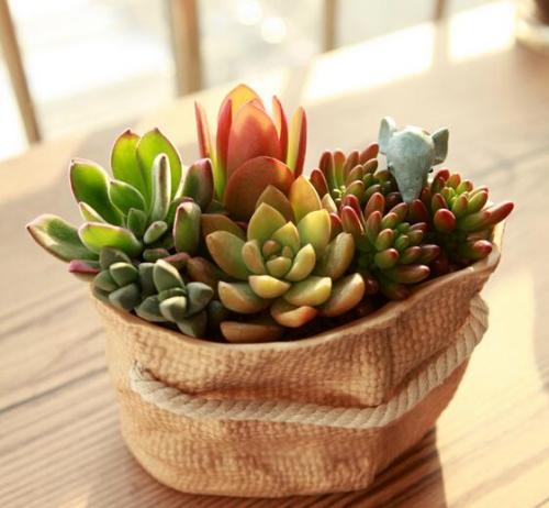 ²¿·Ö·¿´ûÀûÂÊÓÀ´Öض¨¼ÛÈÕ,ÄãµÄÔ¹©±äÁËÂð?