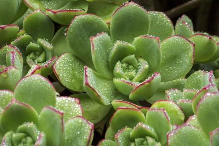 ÉòÑô1ÀýÎÞ֢״תȷÕï ϵ´Ëǰ¾³ÍâÊäÈ벡ÀýÃܽÓÕß