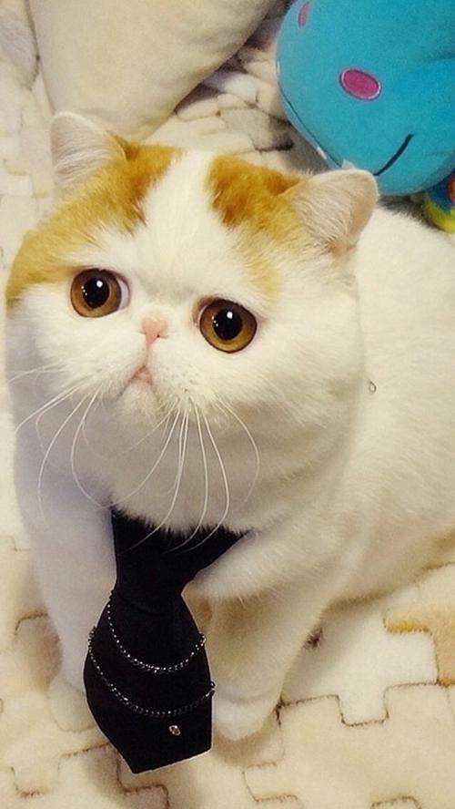 银保监会:警惕过度借贷营销背后隐藏风险或陷阱