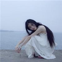 ³¯ÏÊÐû²¼³É¹¦ÊÔÉäÐÂÐ͹ÌÌåȼÁÏÖ޼ʵ¯µÀµ¼µ¯