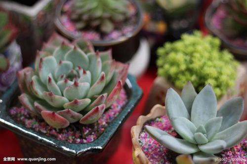 йά͹ٱ貿ҽƾԮд֡