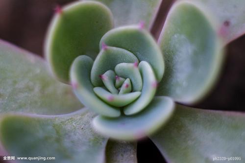 ܹģ2000ԪйҵĻ仧Ϻ