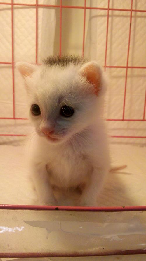 °²»Õ°²Ç죺³ÇÇøË®ÏµÈ«¹áͨ ¡°Ò˳ǡ±±äµÃ¸üÒ˾Ó