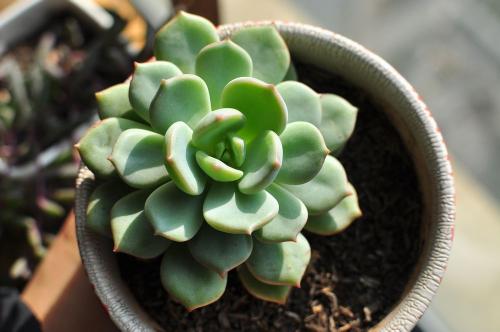 70¹ڷȷﲡ ۼƱ8610