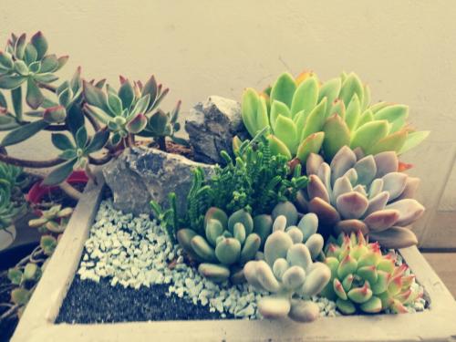 ǰ11Ô¹¤ÒµÆóҵʵÏÖÀûÈó57445ÒÚÔª ͬ±ÈÔö³¤2.4%