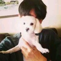 ½ËÕÊ¡×éÍŲμӵÚ15½ìÑÇÖÞÎïÁ÷º½Ô˼°¿ÕÔË»áÒé ÔËÂúÂúÓ¦Ñû²ÎÕ¹